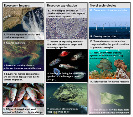 圖1. 專家團隊列舉出影響海洋及海岸生態的15件事。圖片提供：墨西哥灣NOAA海洋勘探與研究所（NOAA Office of Ocean Exploration and Research）。